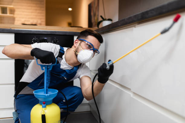 Best Wasp Removal Services  in Middlesex, NJ