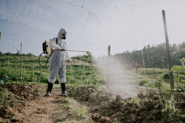 Best Best Pest Control Companies  in Middlesex, NJ