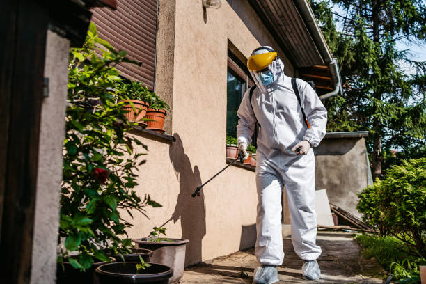 Reliable Middlesex, NJ Pest Control Solutions