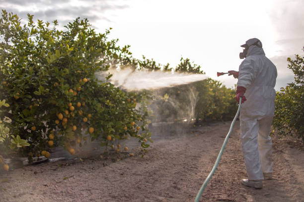 Best Pest Control Near Me  in Middlesex, NJ