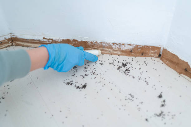 Best Spider Control Near Me  in Middlesex, NJ