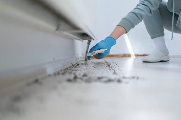 Best Affordable Pest Control Services  in Middlesex, NJ